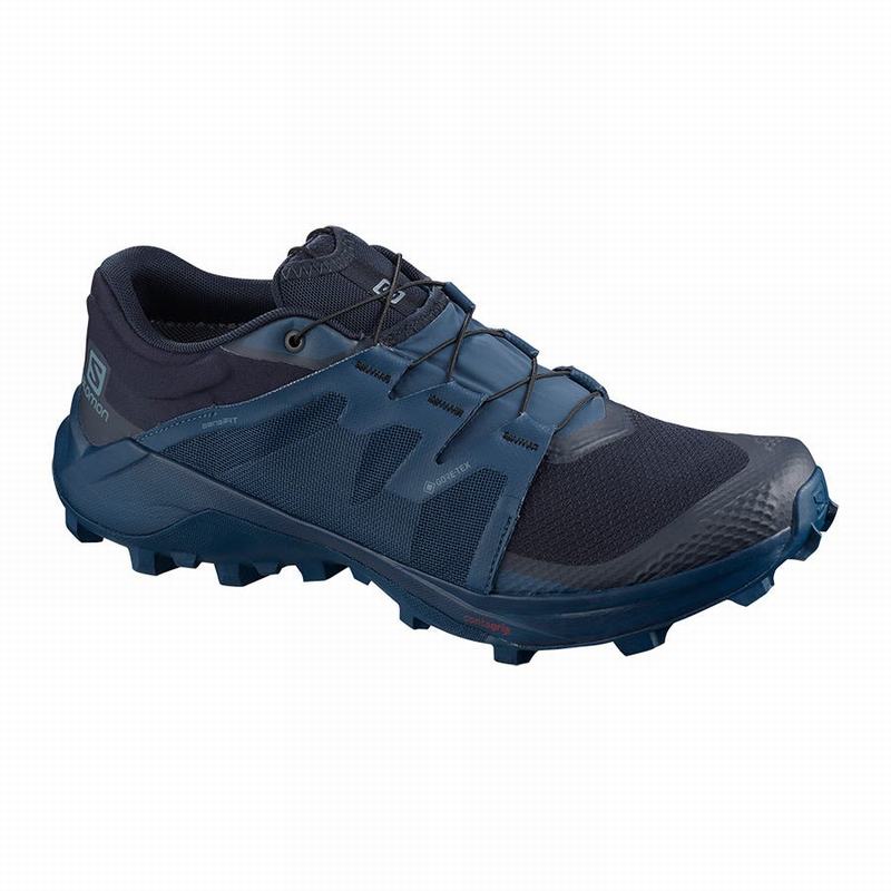 Salomon Trail Løbesko Herre Mørkeblå - WILDCROSS GTX (WEZIA-5981)